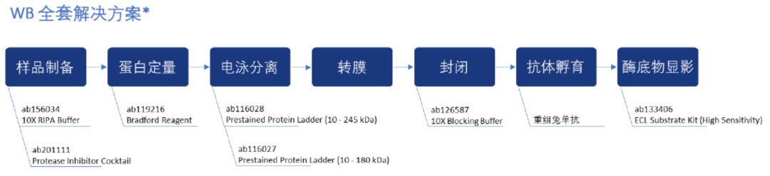 微信图片_20240620153433.jpg