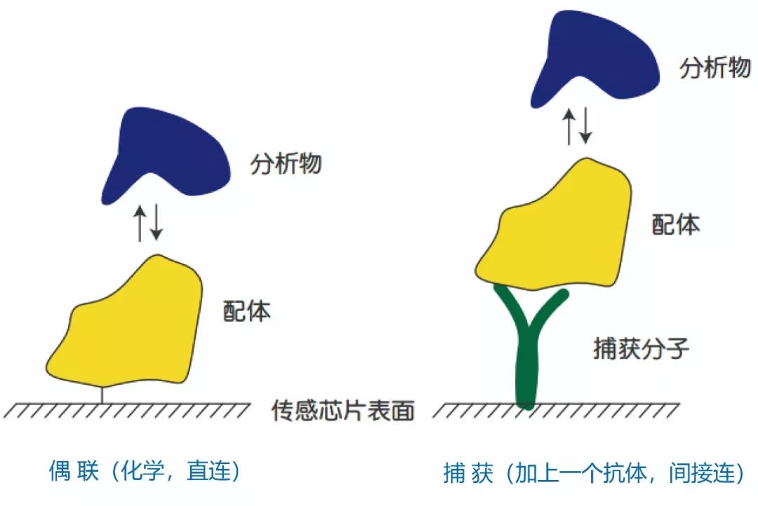 微信图片_20240621153009.jpg