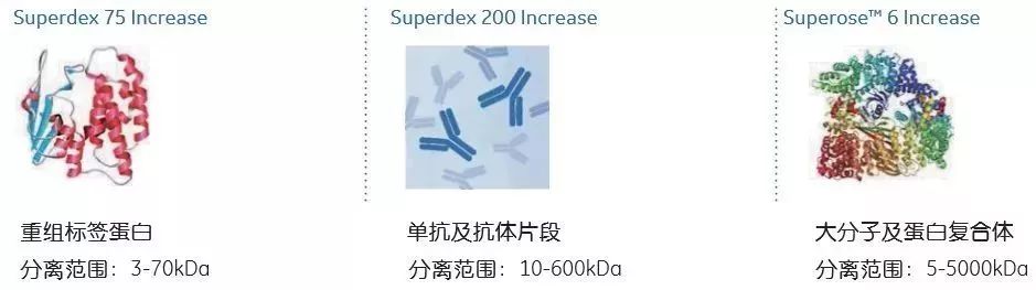 微信图片_20240621154112.jpg