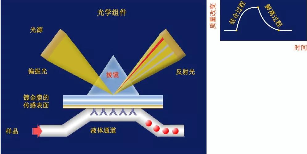 微信图片_20240621153006.jpg